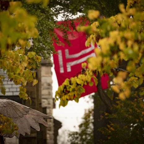 The cherry red Temple T flag flies behind trees on campus