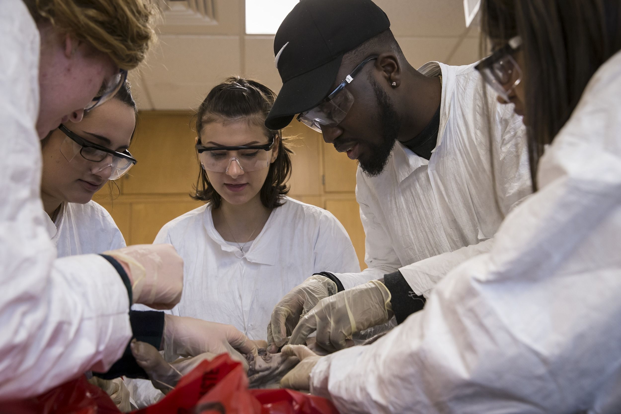 Anatomy students examining a cadaver.