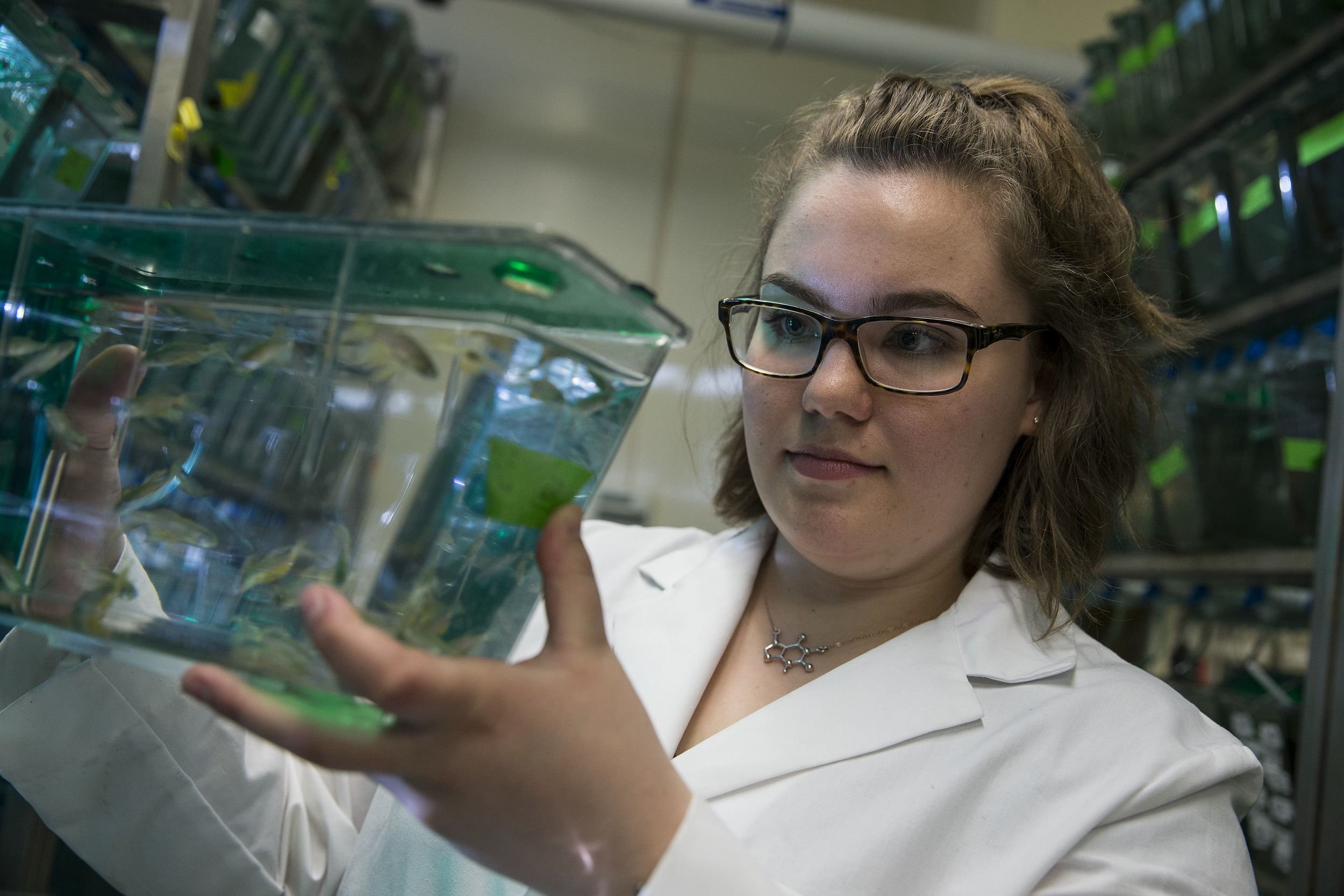 A student in a white lab coat examines a small fish tank
