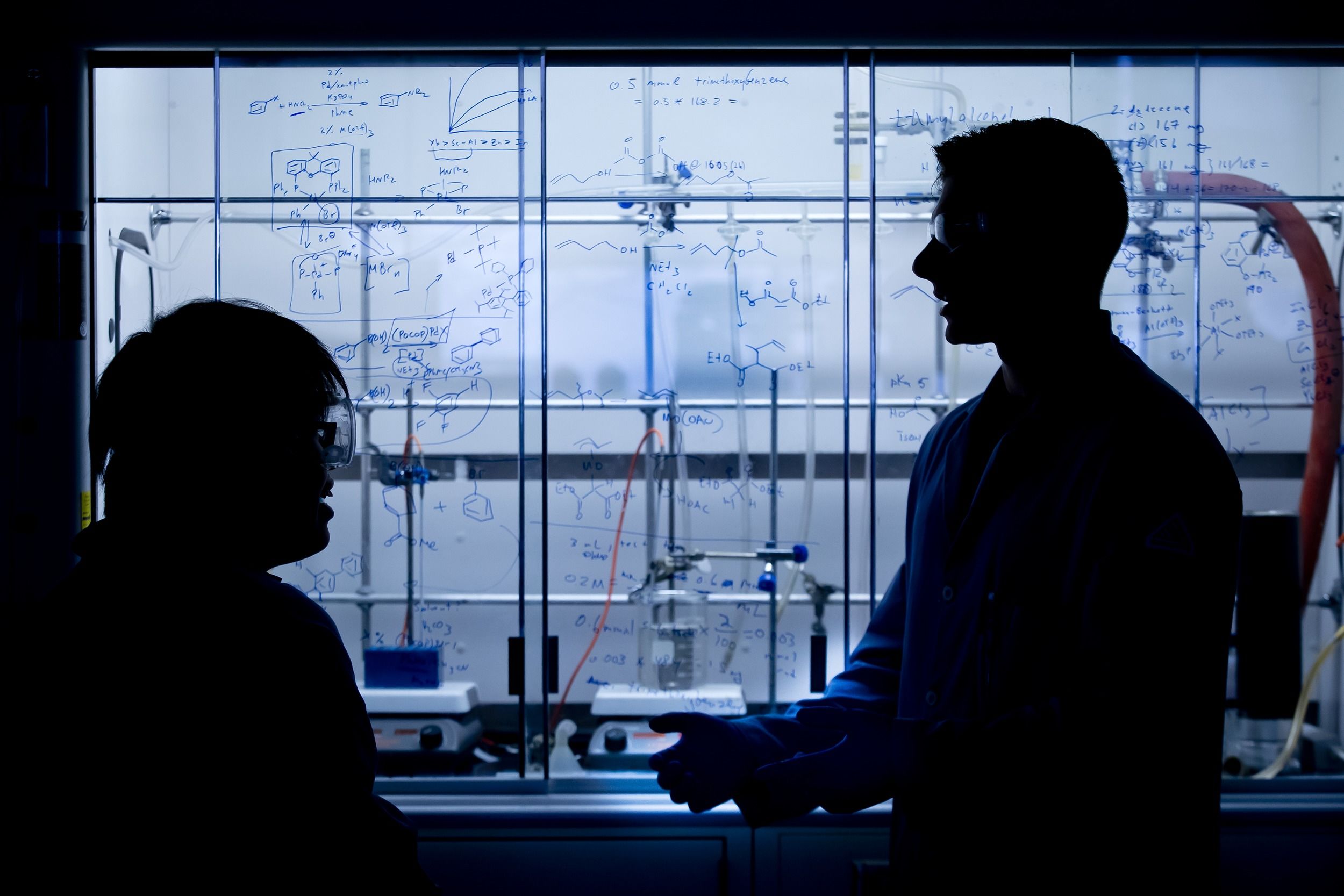 Silhouettes of students in a computer lab