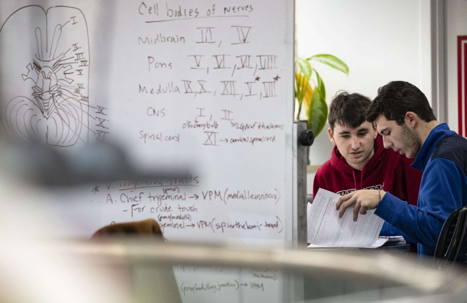Two students sit in front of a white board filled with notes while looking at a book together.