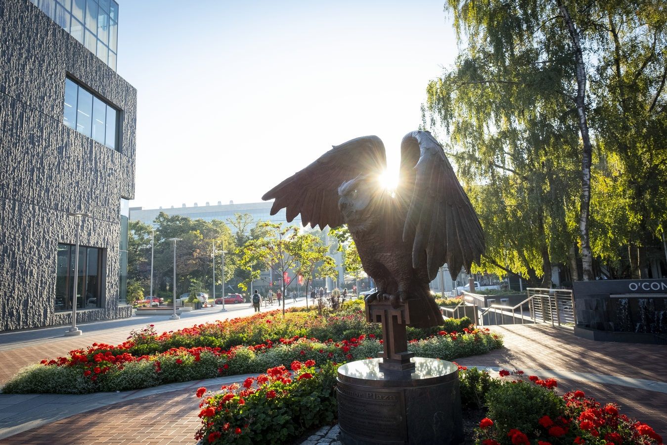 The sun shines behind an owl statue on Main Campus