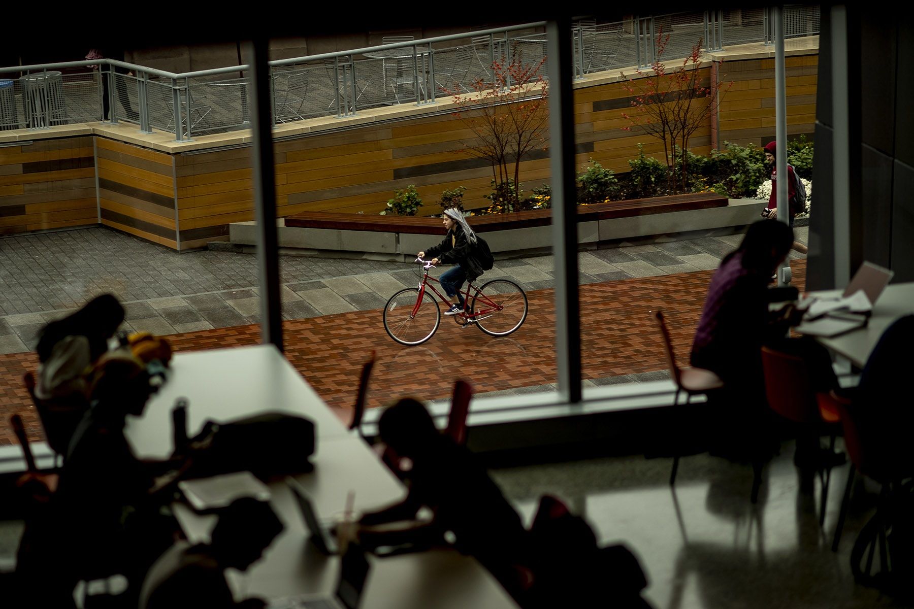 Students studying by a window that overlooks someone riding a bicycle.